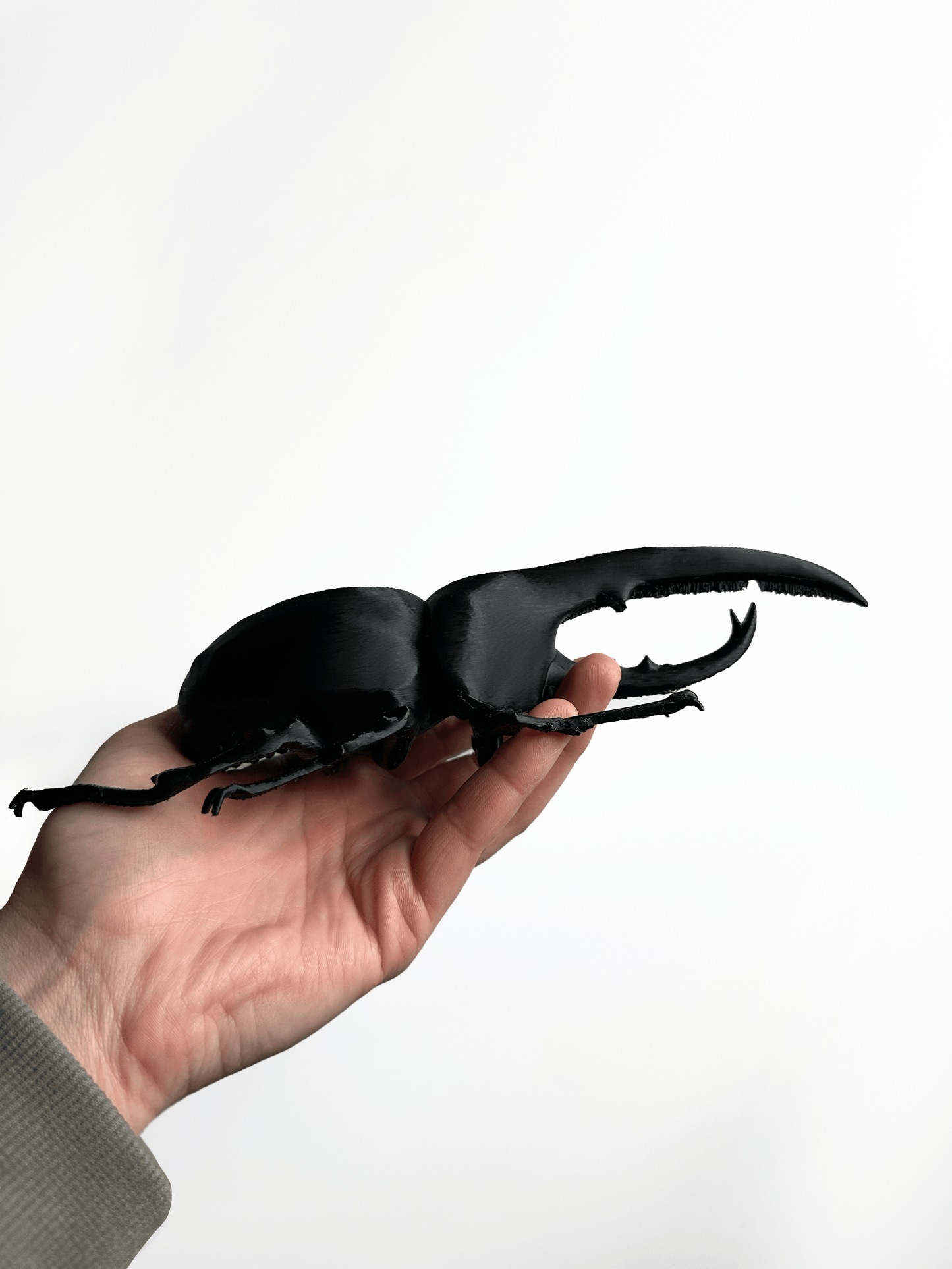 Giant Beetles - Faux Theory Design
