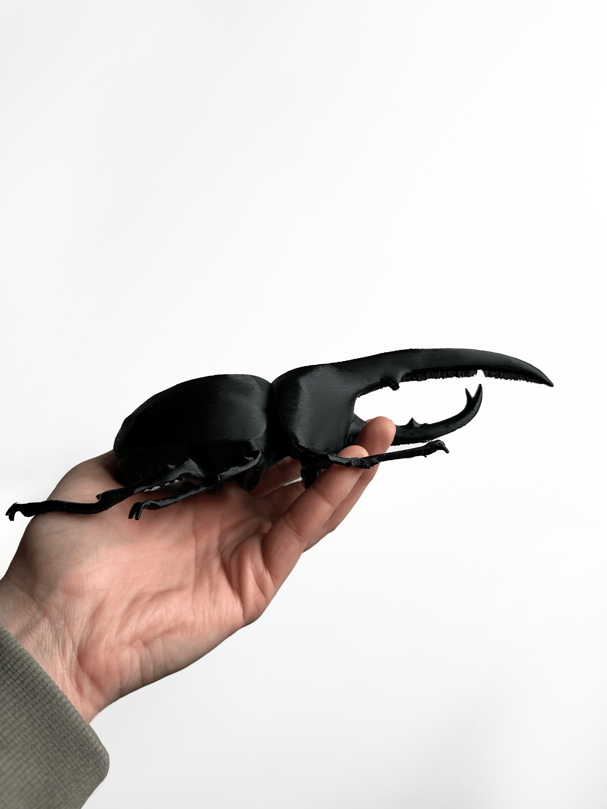 Giant Beetles - Faux Theory Design