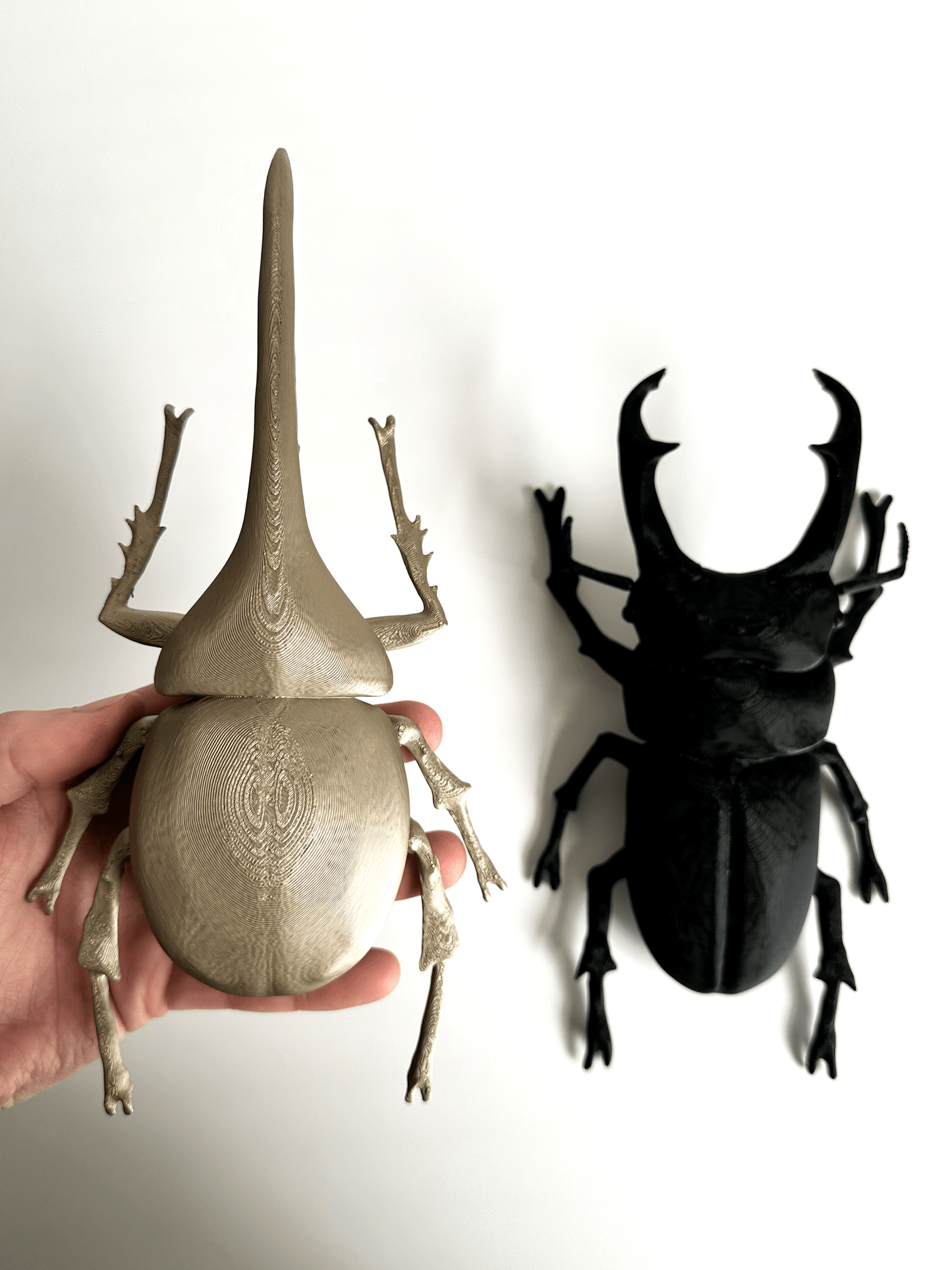 Giant Beetles - Faux Theory Design