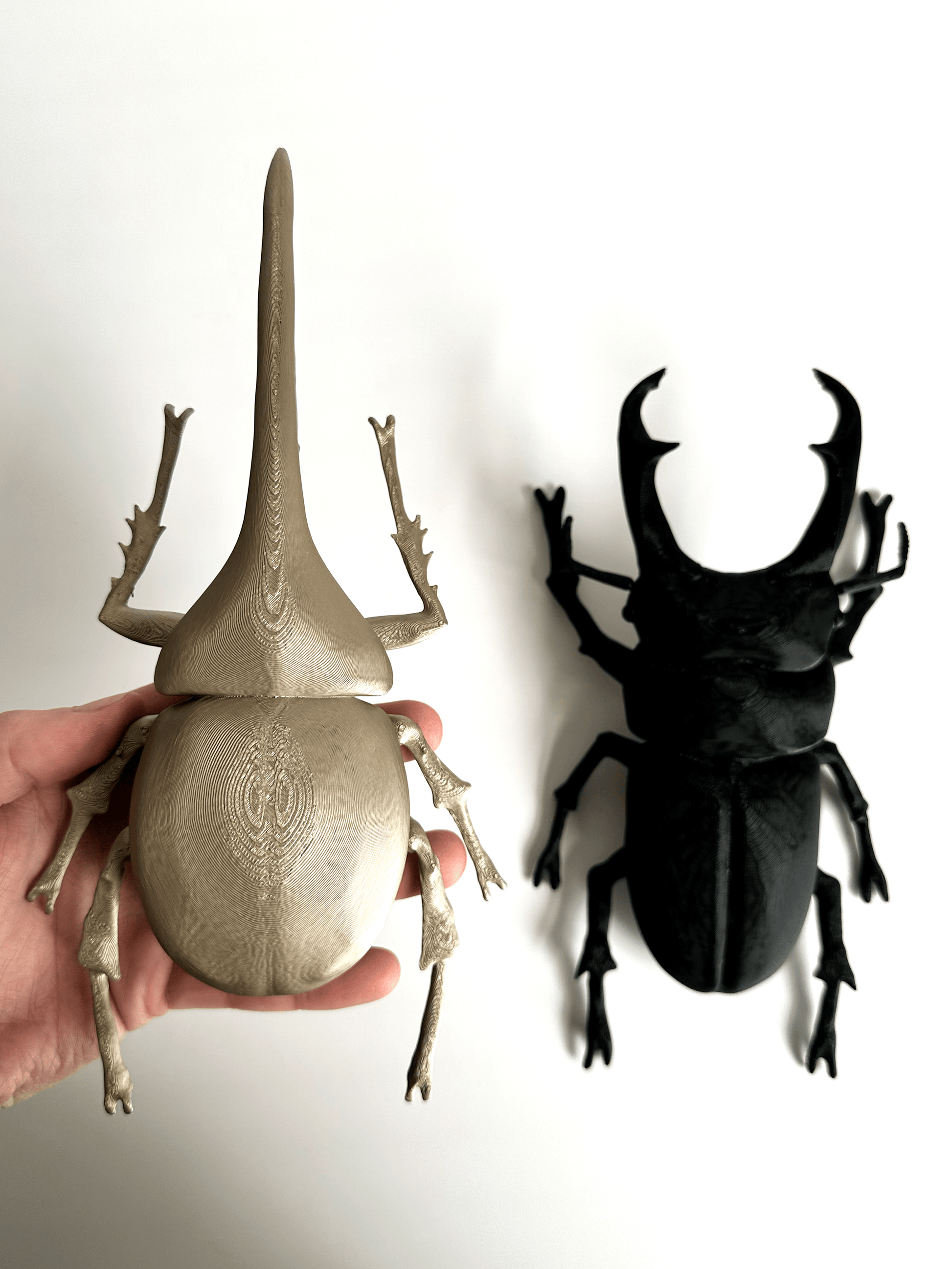 Giant Beetles - Faux Theory Design