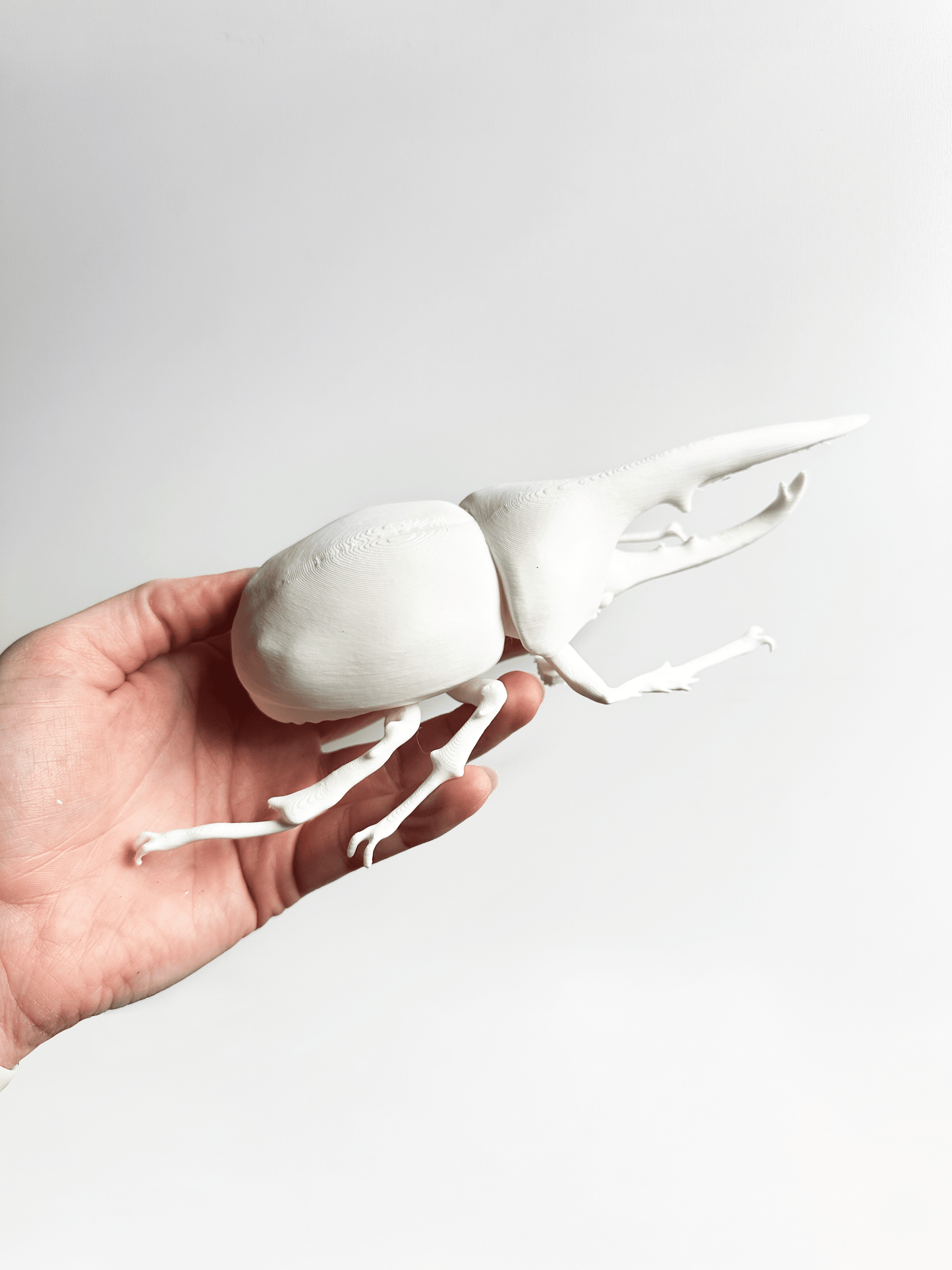 Giant Beetles - Faux Theory Design