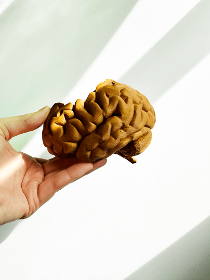 Hanging Brain Planter - Faux Theory Design