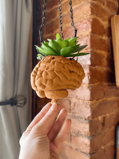 Hanging Brain Planter - Faux Theory Design