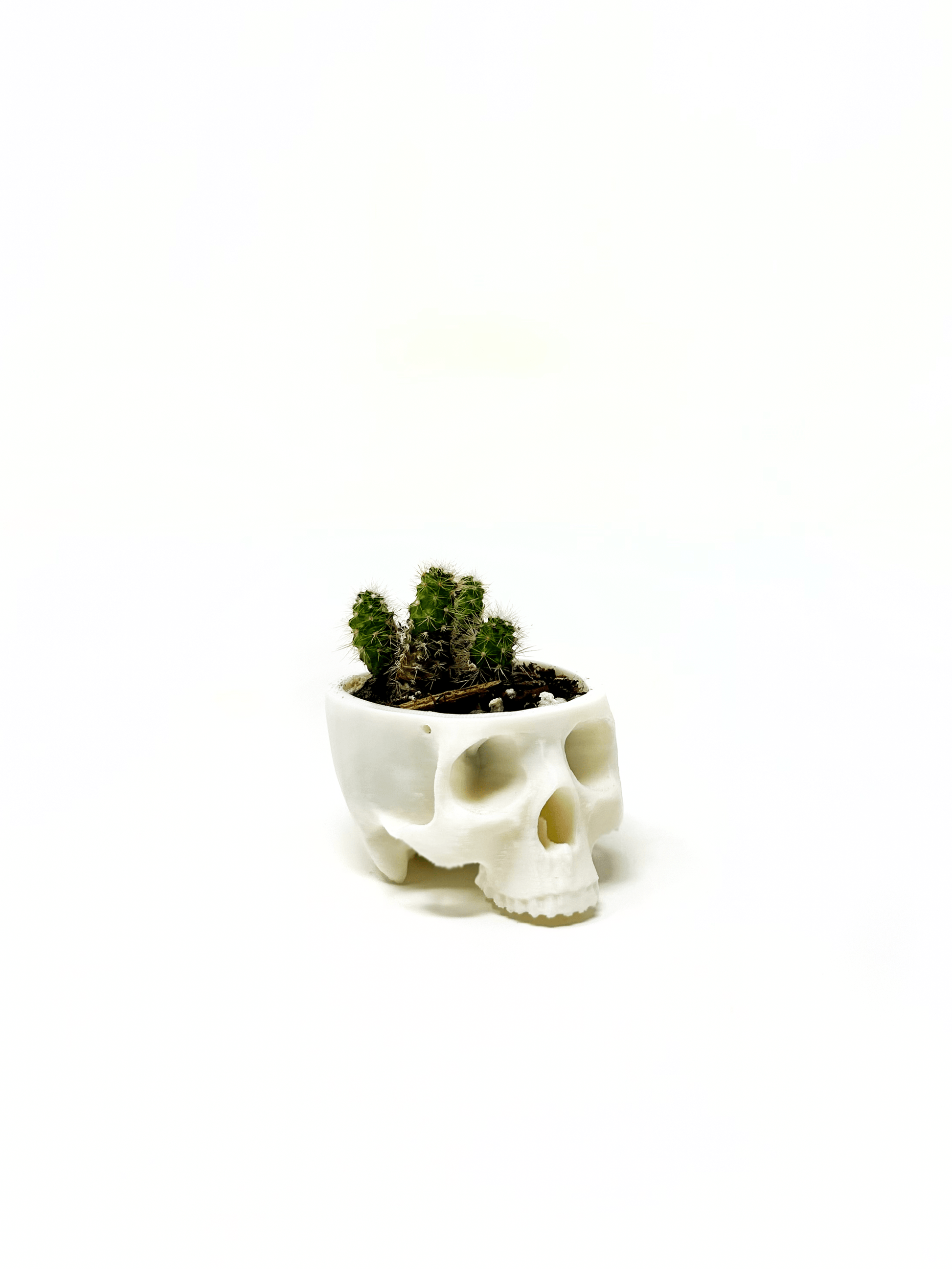 Hanging Skull Planter - Faux Theory Design