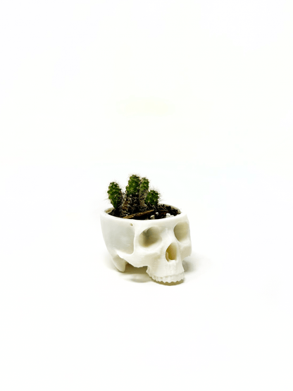 Hanging Skull Planter - Faux Theory Design