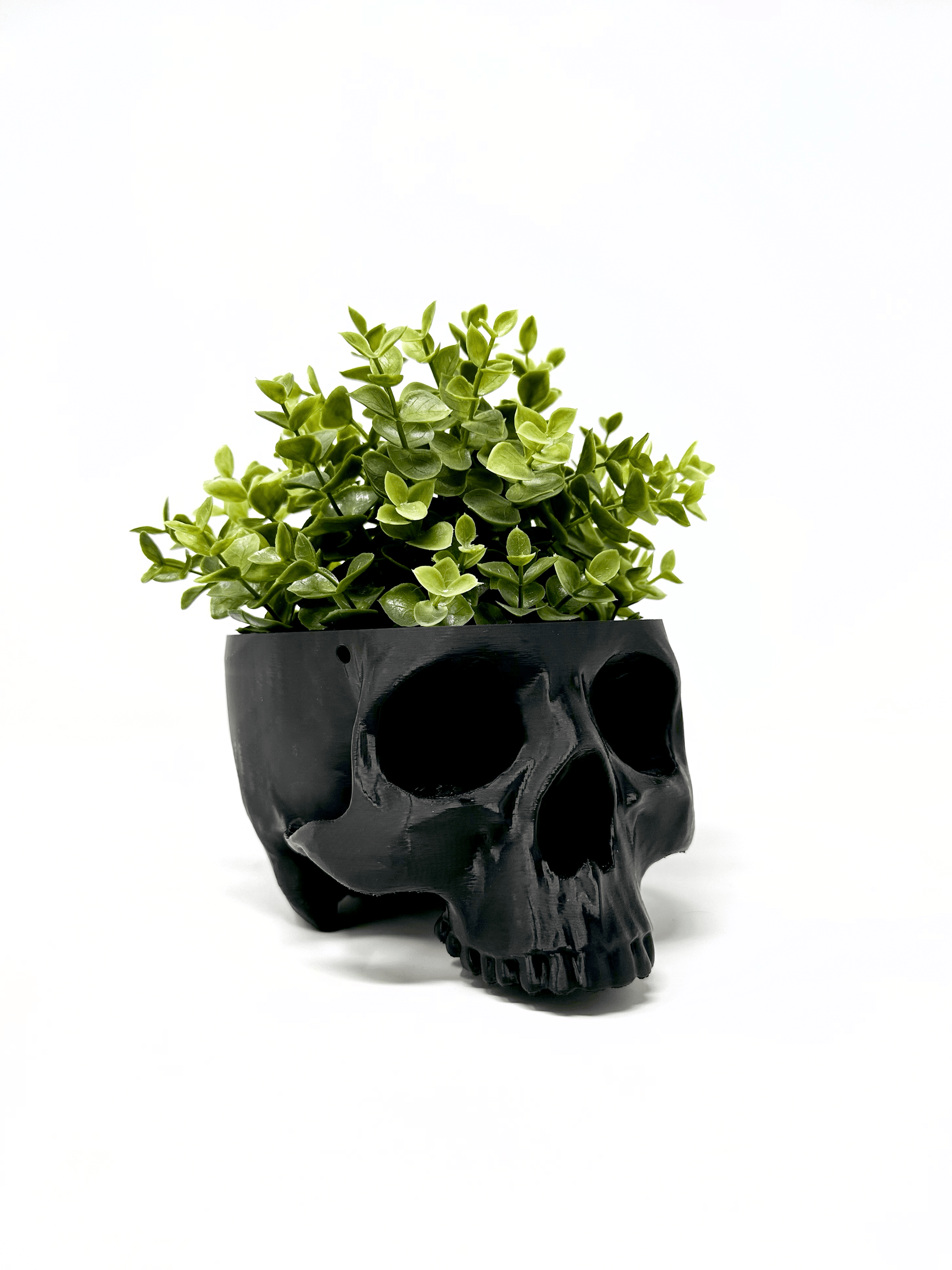 Hanging Skull Planter - Faux Theory Design