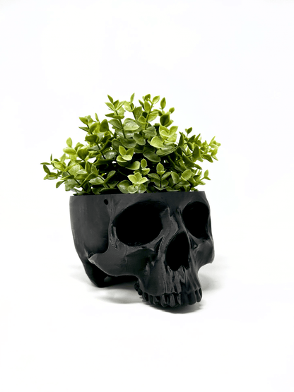 Hanging Skull Planter - Faux Theory Design
