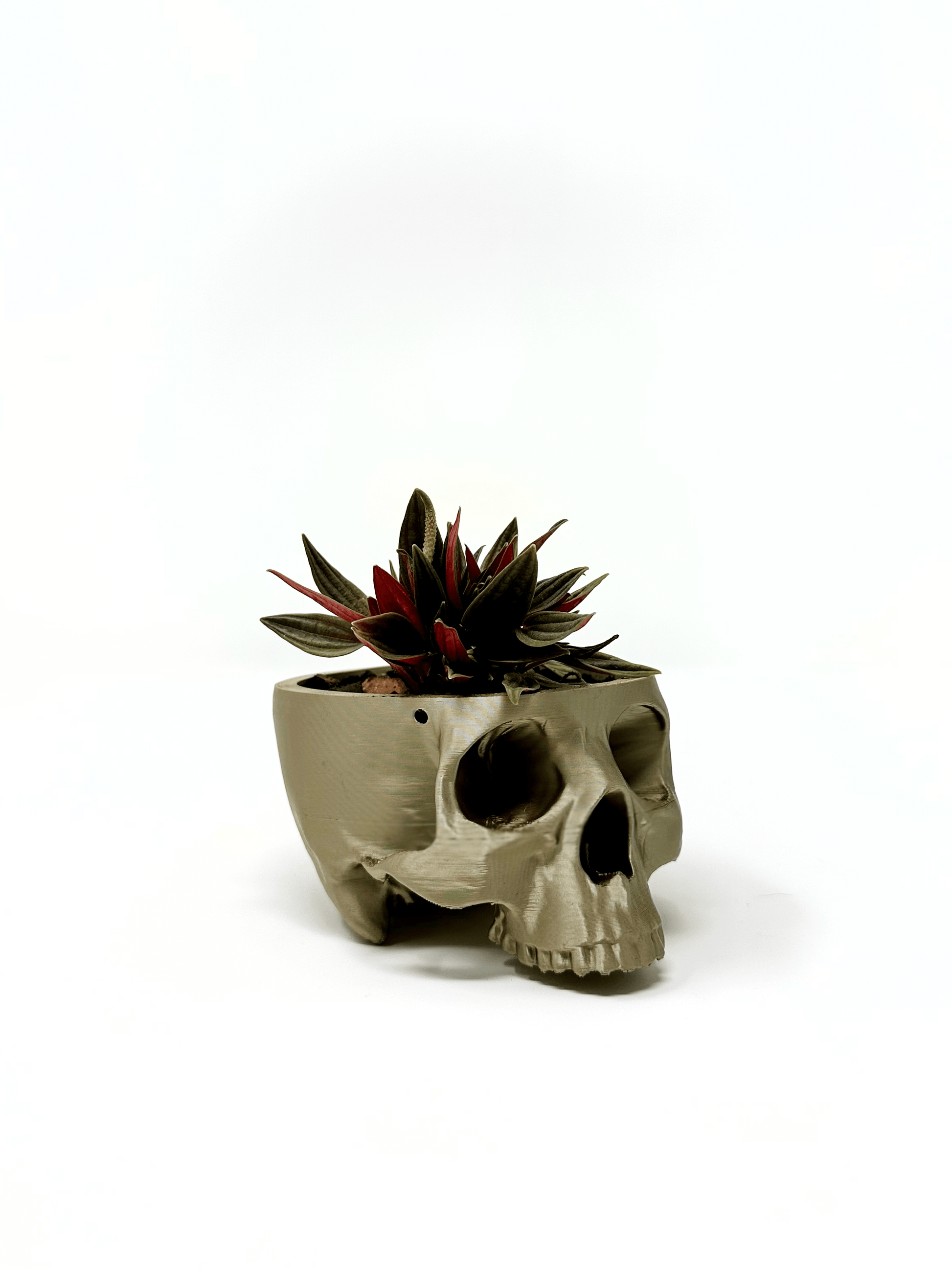 hanging skull planter Hanging Skull Planter: 3D Printed Gothic Home for Greenery – Faux Theory Design