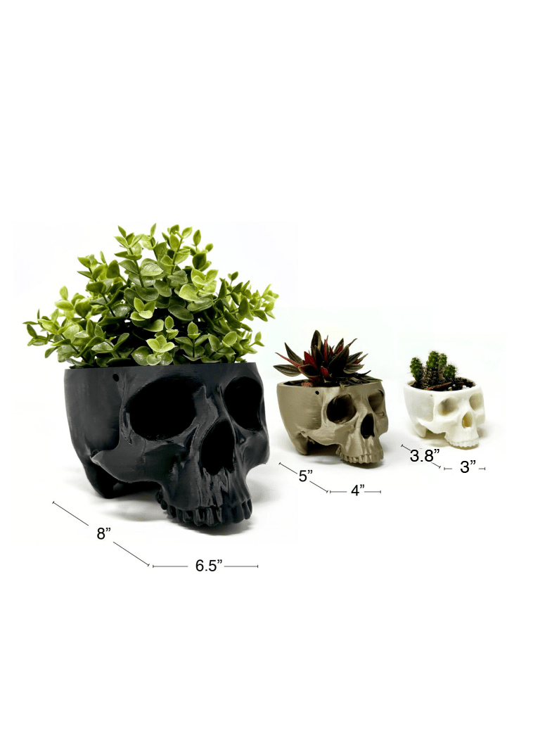 Hanging Skull Planter - Faux Theory Design