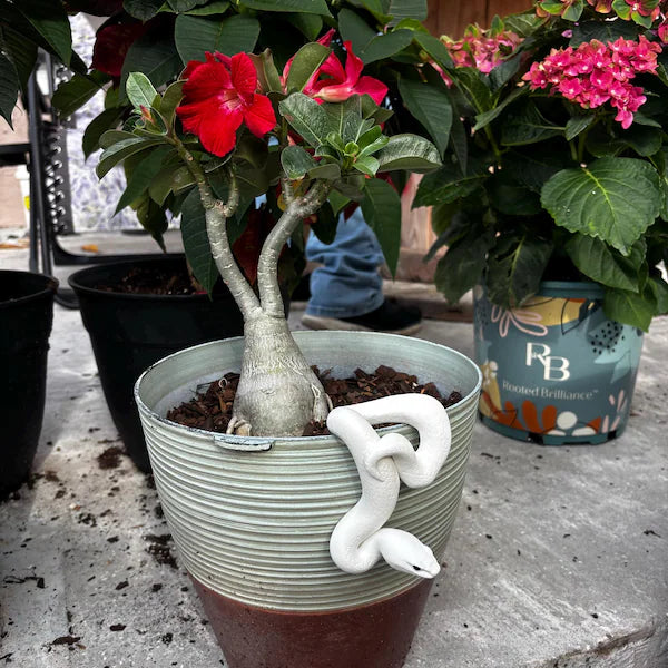 Modern Snake Pot Hanger: 3D Printed Serpent Decor for Indoor Plants