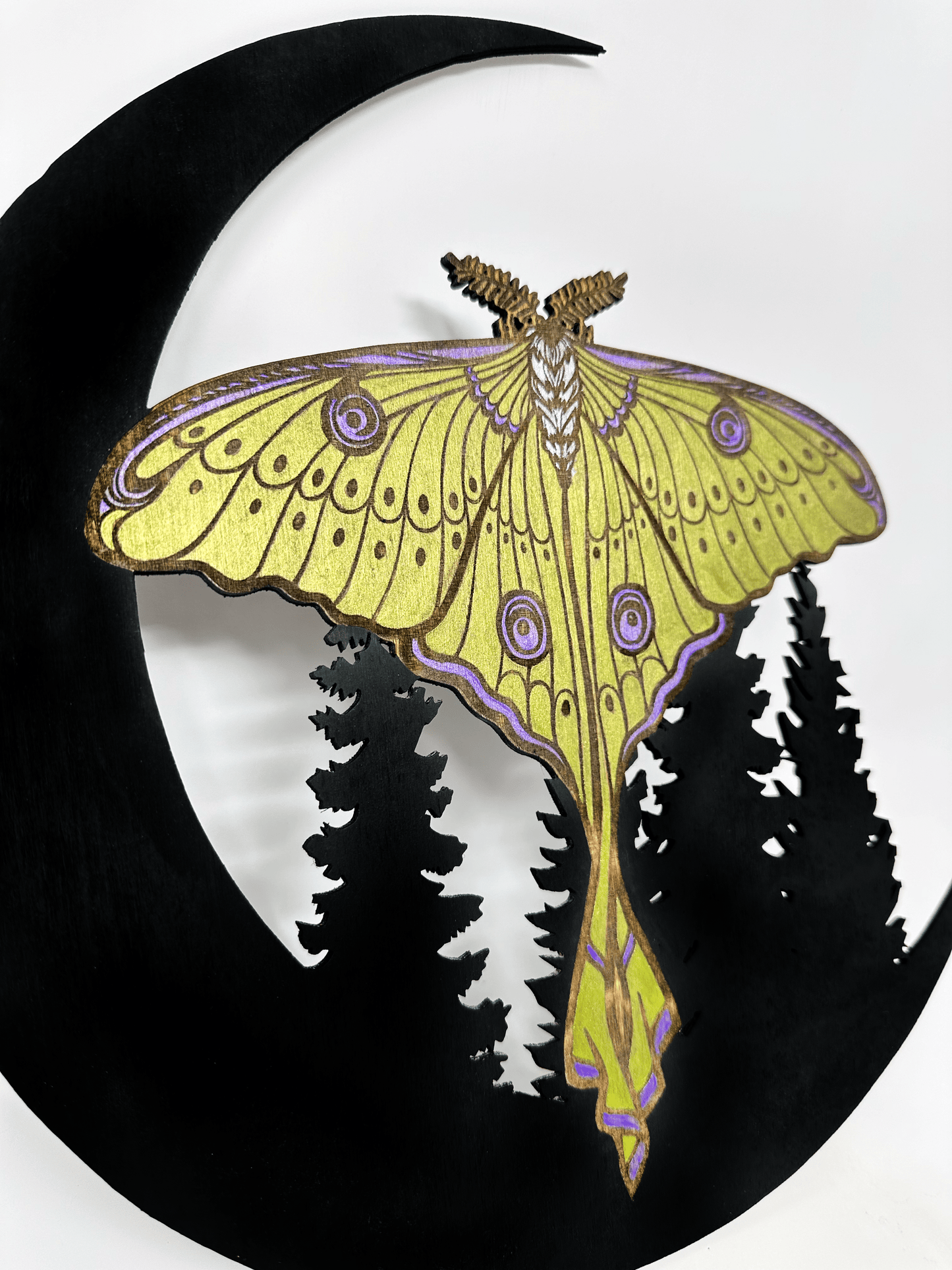 Luna Moth Wall Hanging - Faux Theory Design