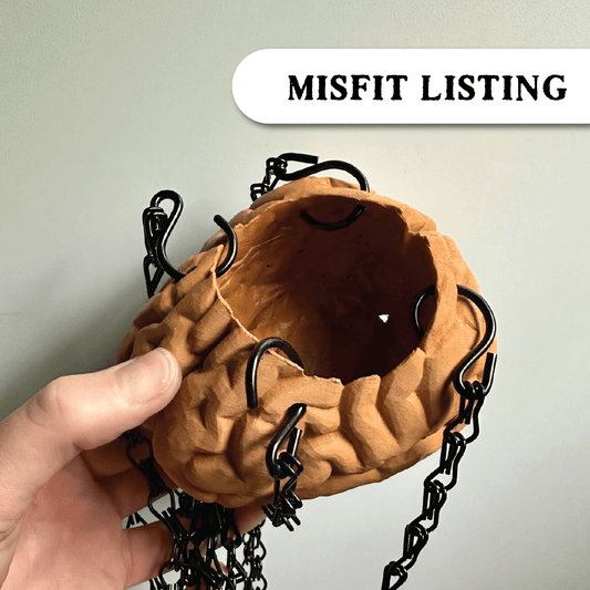 MISFIT LISTING - Brain Planter (4"x5") - Faux Theory Design