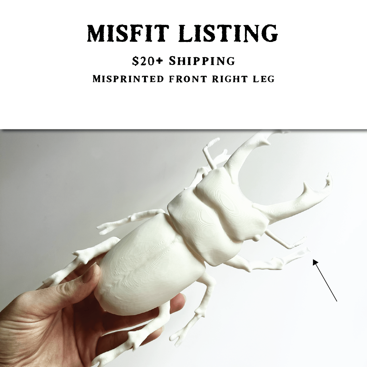 MISFIT LISTING - Giant Beetle - White Stag - Faux Theory Design
