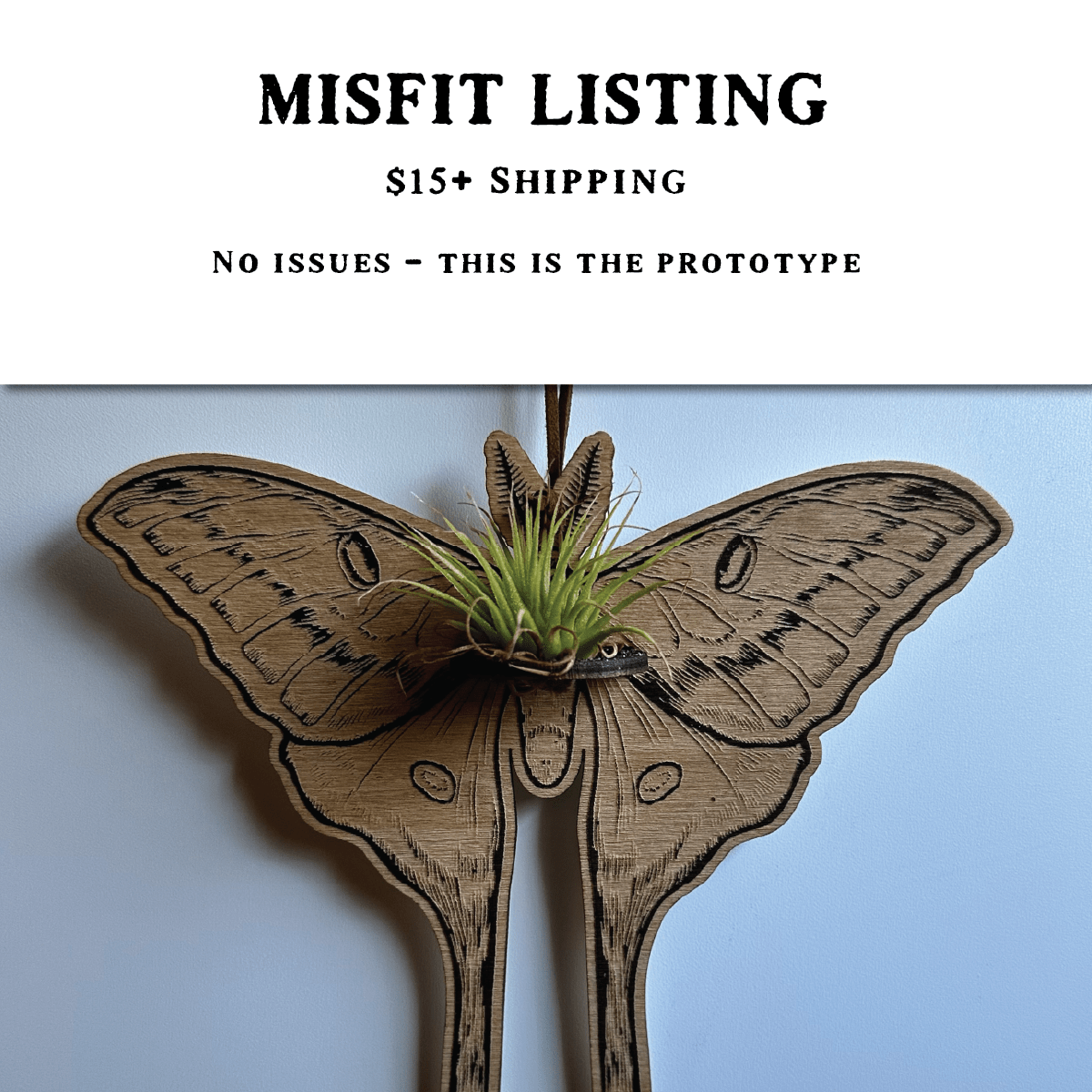MISFIT LISTING - Luna Moth Air Plant Hanger - Faux Theory Design
