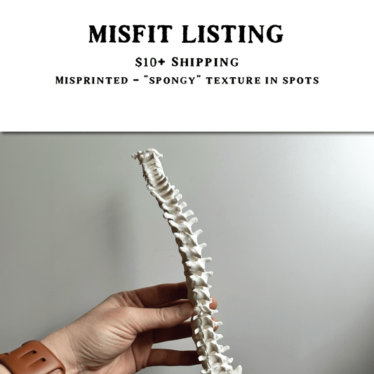 MISFIT LISTING - Spine Trellis - Faux Theory Design