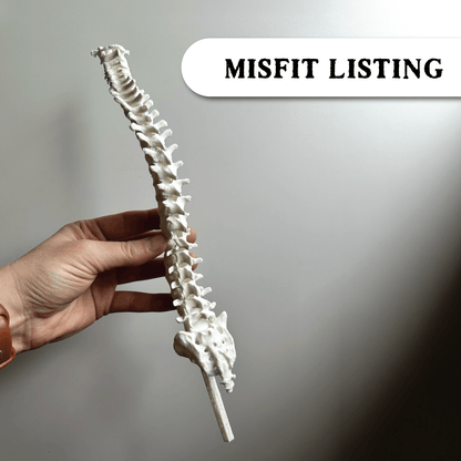 MISFIT LISTING - Spine Trellis - Faux Theory Design