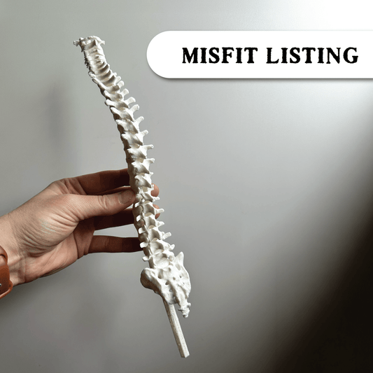MISFIT LISTING - Spine Trellis - Faux Theory Design