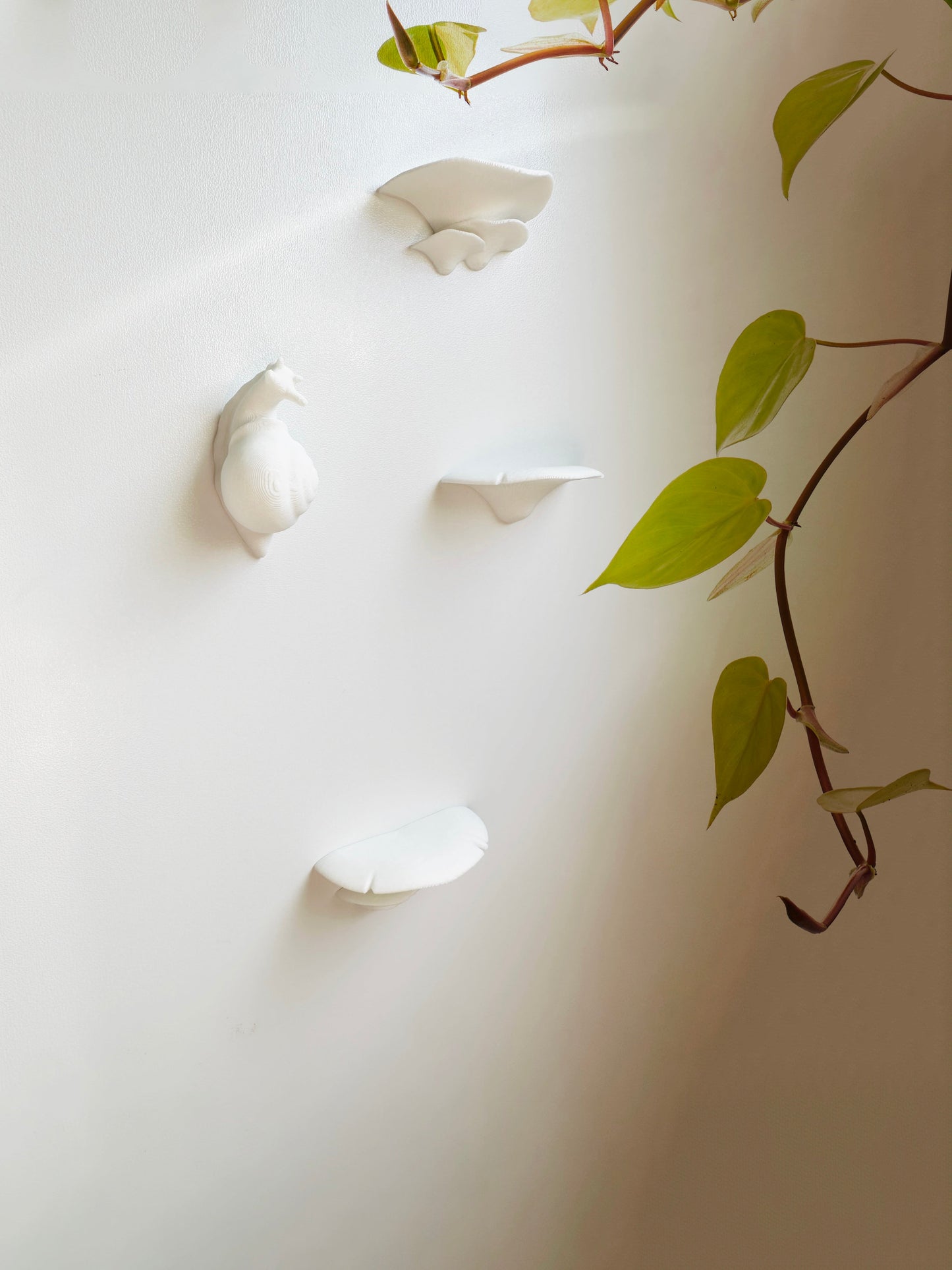 Mushroom & Snail Magnets - Faux Theory Design