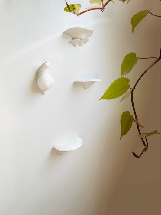 Mushroom & Snail Magnets - Faux Theory Design