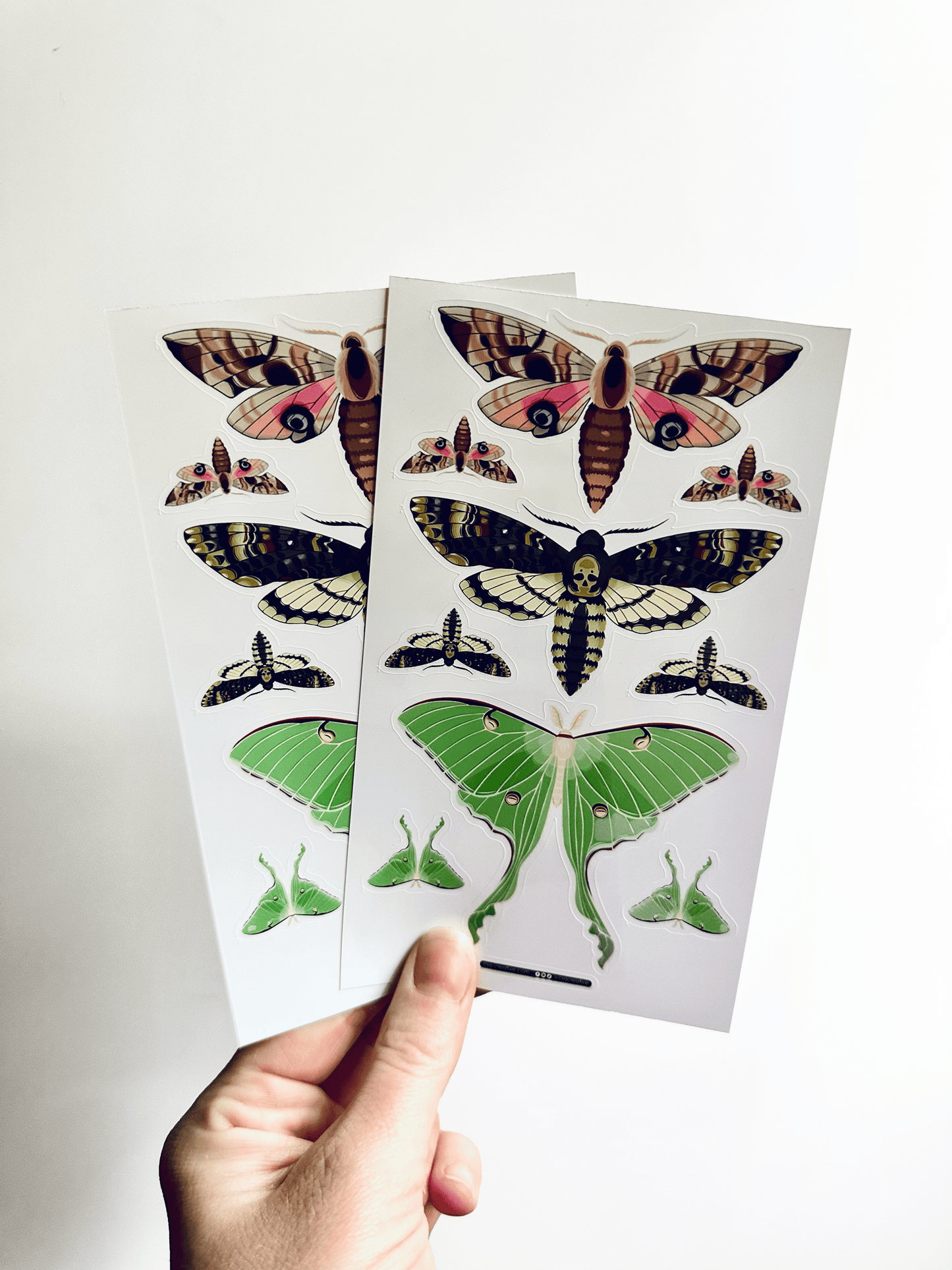 Night Moths 4"x7" Sticker Sheet - Faux Theory Design