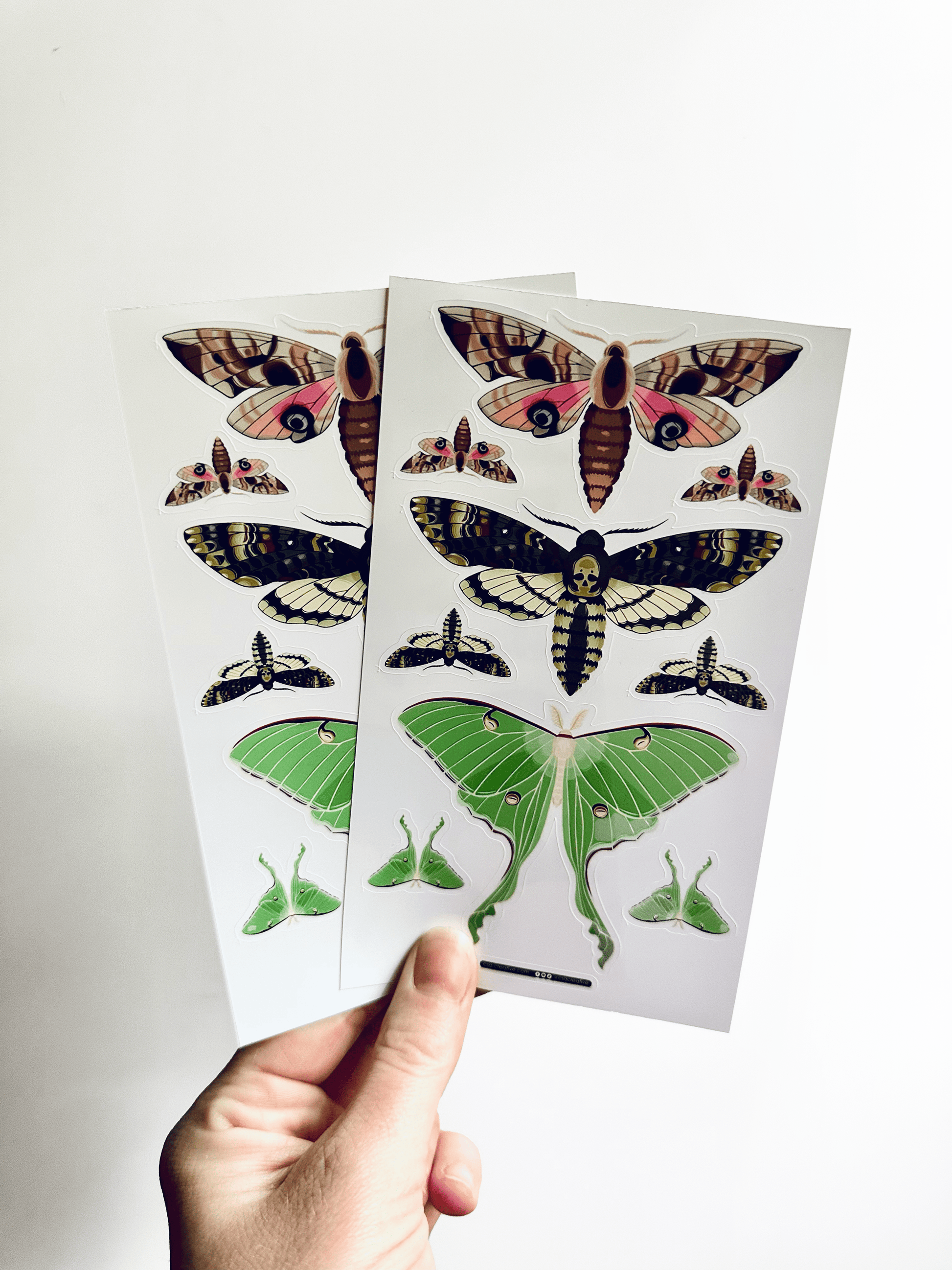 Night Moths 4"x7" Sticker Sheet - Faux Theory Design