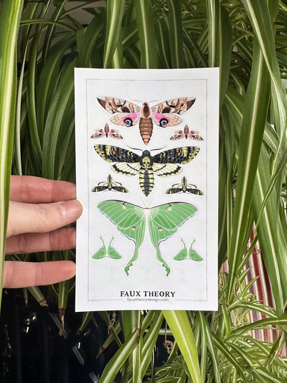 Night Moths 4"x7" Sticker Sheet - Faux Theory Design