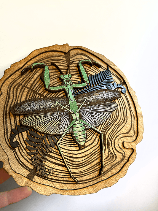 Praying Mantis Wood Slice - Faux Theory Design