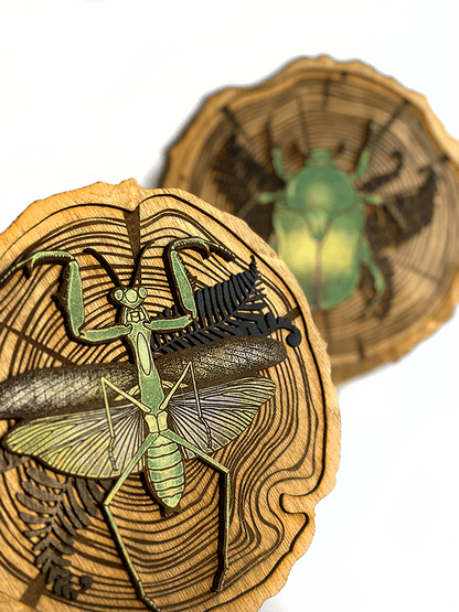 Praying Mantis Wood Slice - Faux Theory Design