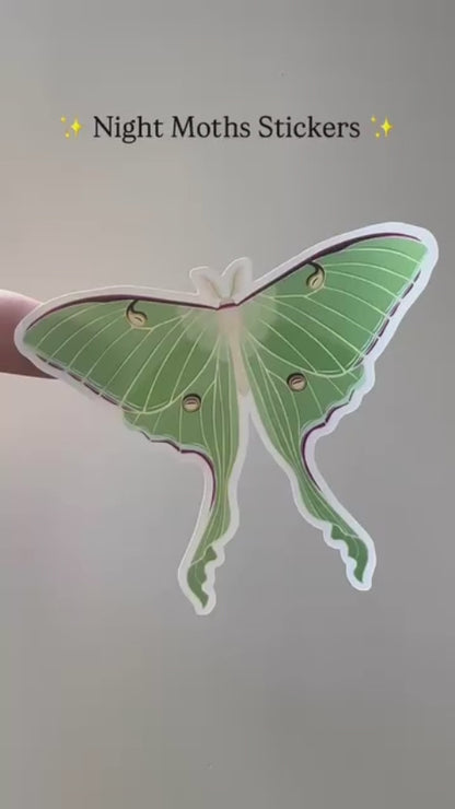 Night Moths 4"x7" Sticker Sheet