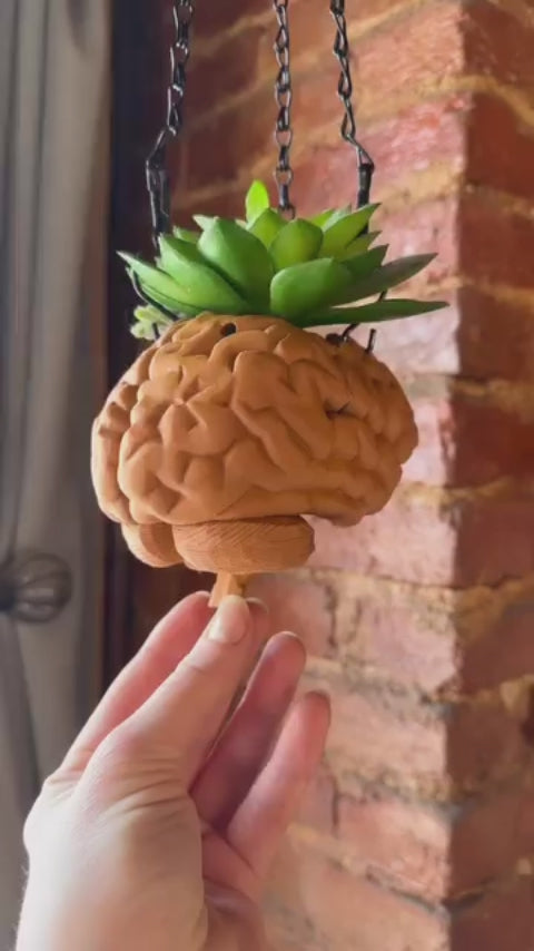 3D Printed Hanging Brain Planter