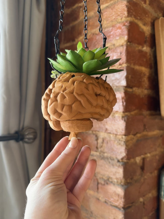 Hanging Brain Planter