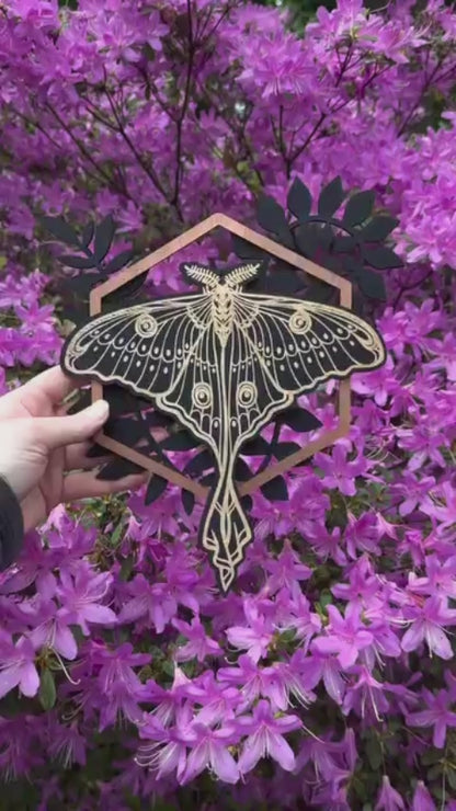 Geometric Luna Moth with Ferns