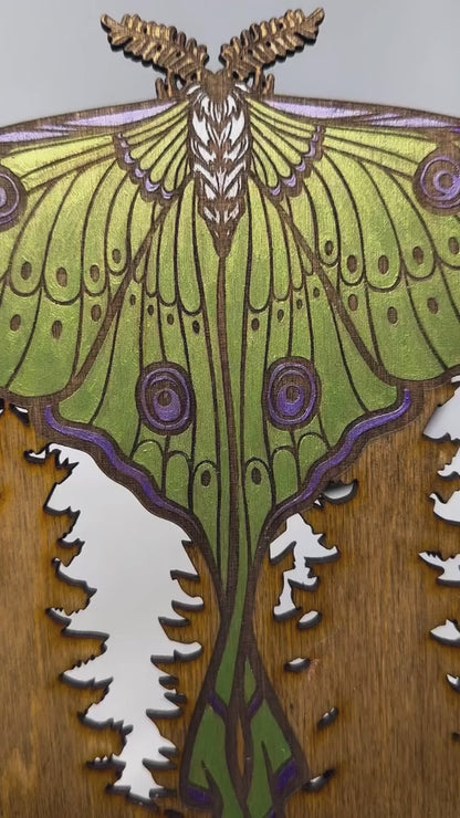 Luna Moth Wall Hanging