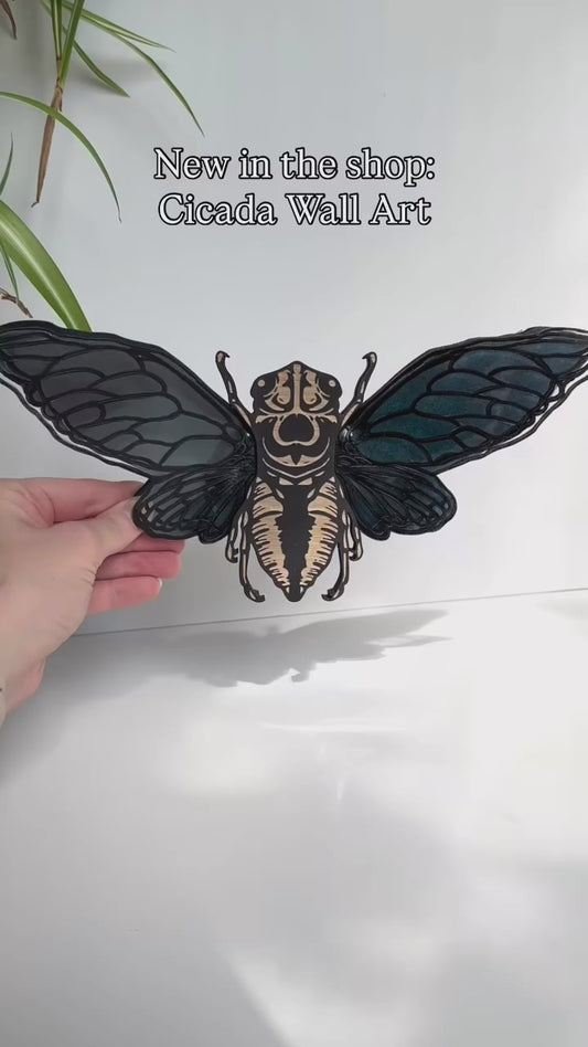 Cicada Wall Art with Acrylic Wings