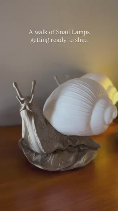 3D Printed Snail Accent Lamp/Night Light