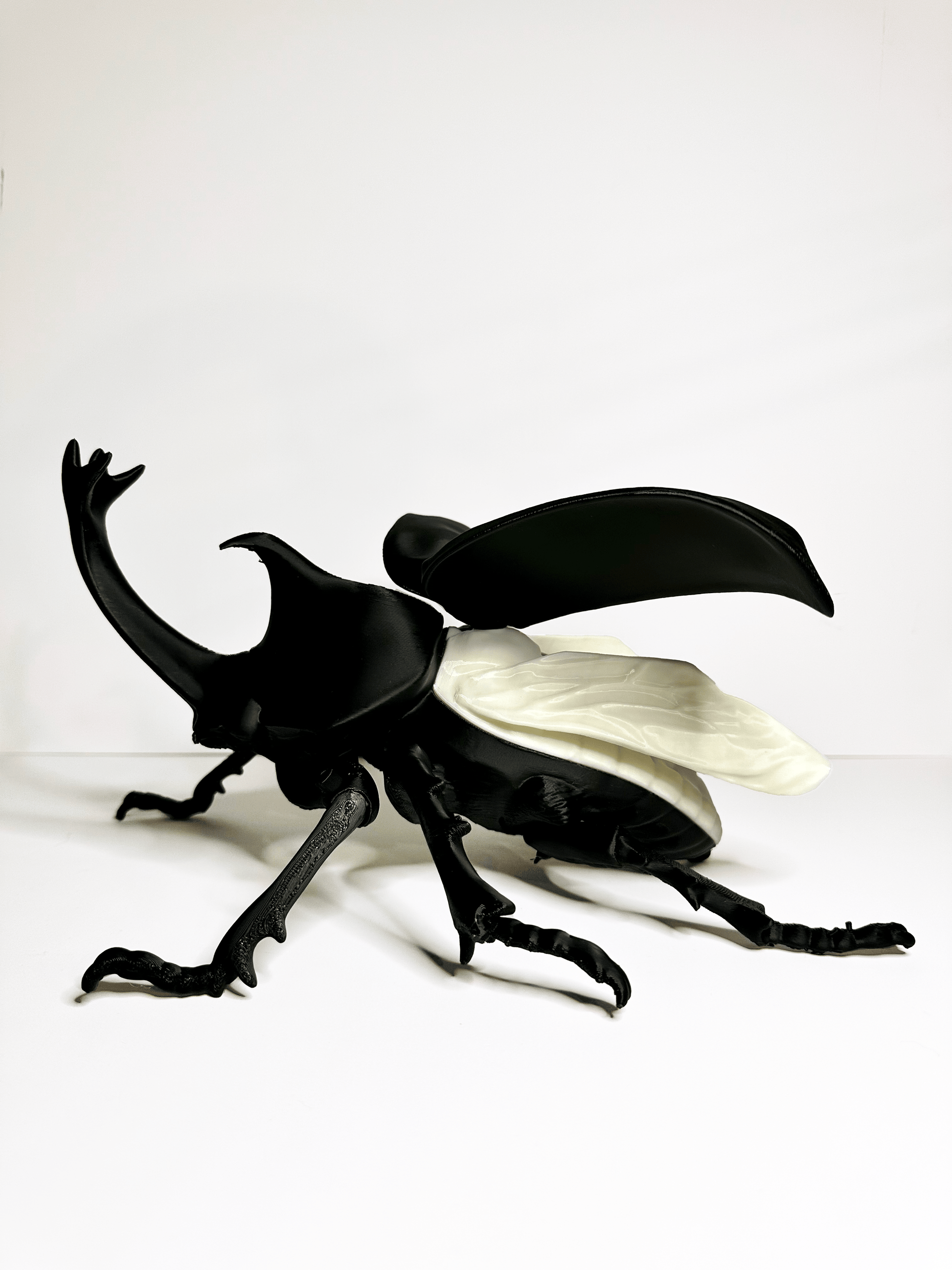 Rhino Beetle Lamp - Faux Theory Design