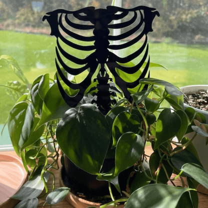 Rib Cage Acrylic Plant Support/Trellis - Faux Theory Design