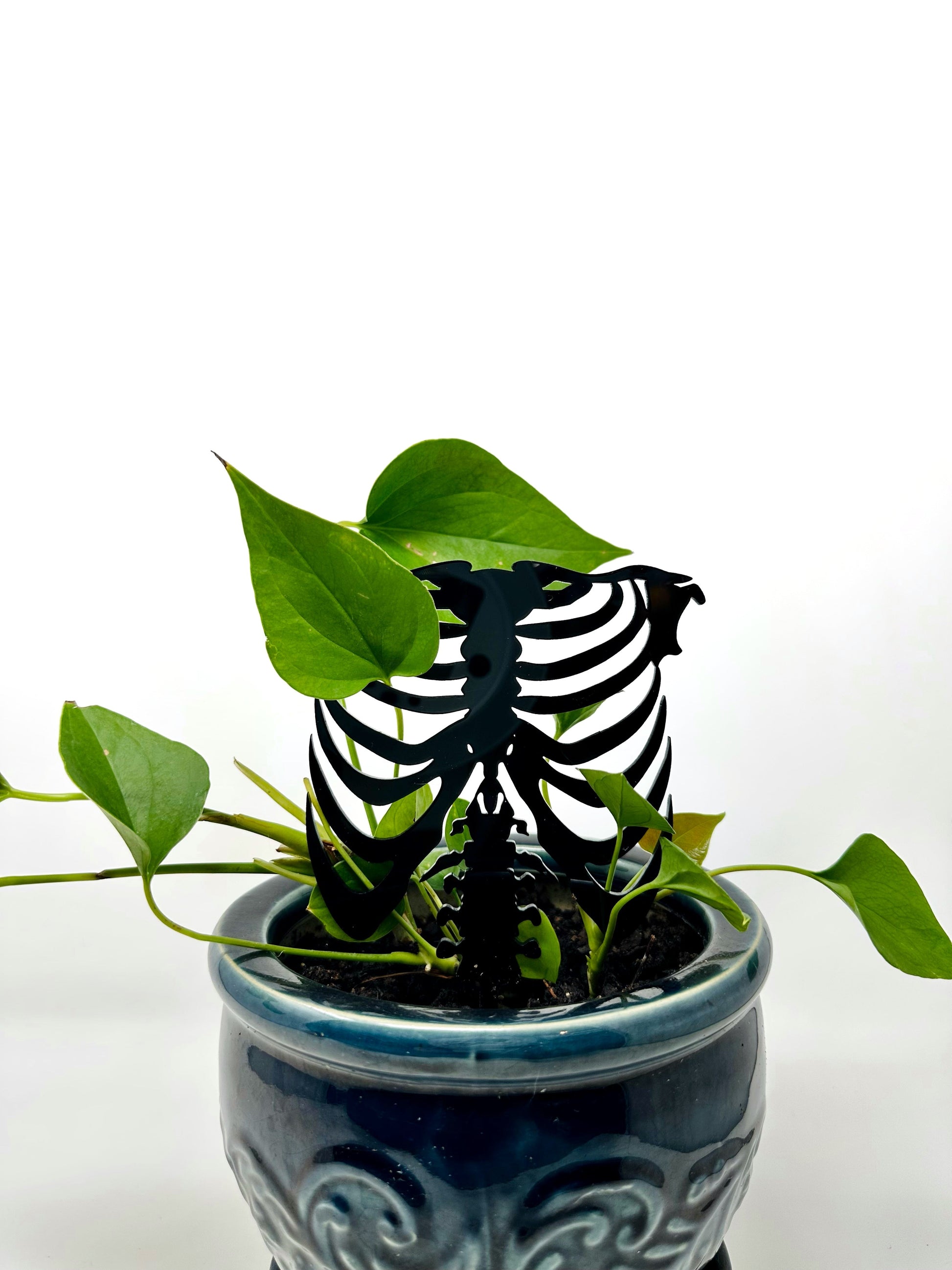 trellis faux plants Rib Cage Acrylic Plant Support/Trellis – Faux Theory Design