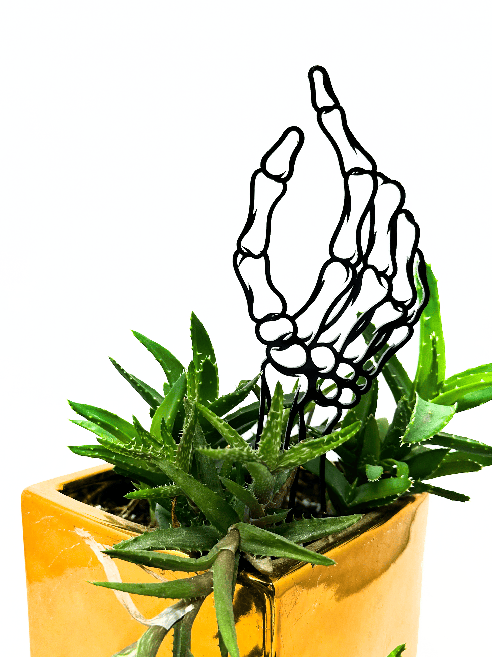 skeleton plant trellis Skeleton Hand Acrylic Plant Support/Trellis – Faux Theory Design