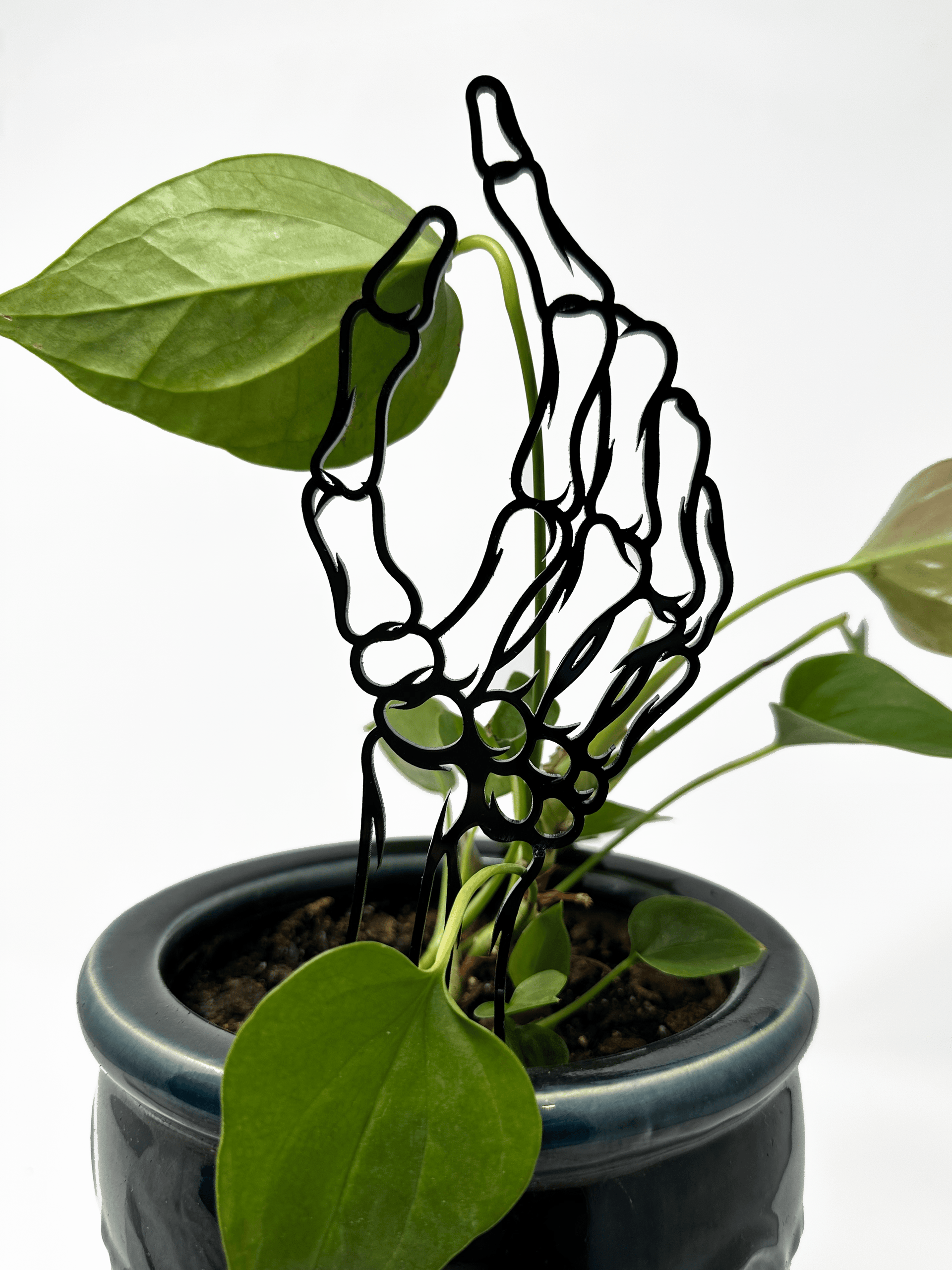 Skeleton Hand Acrylic Plant Support/Trellis – Faux Theory Design