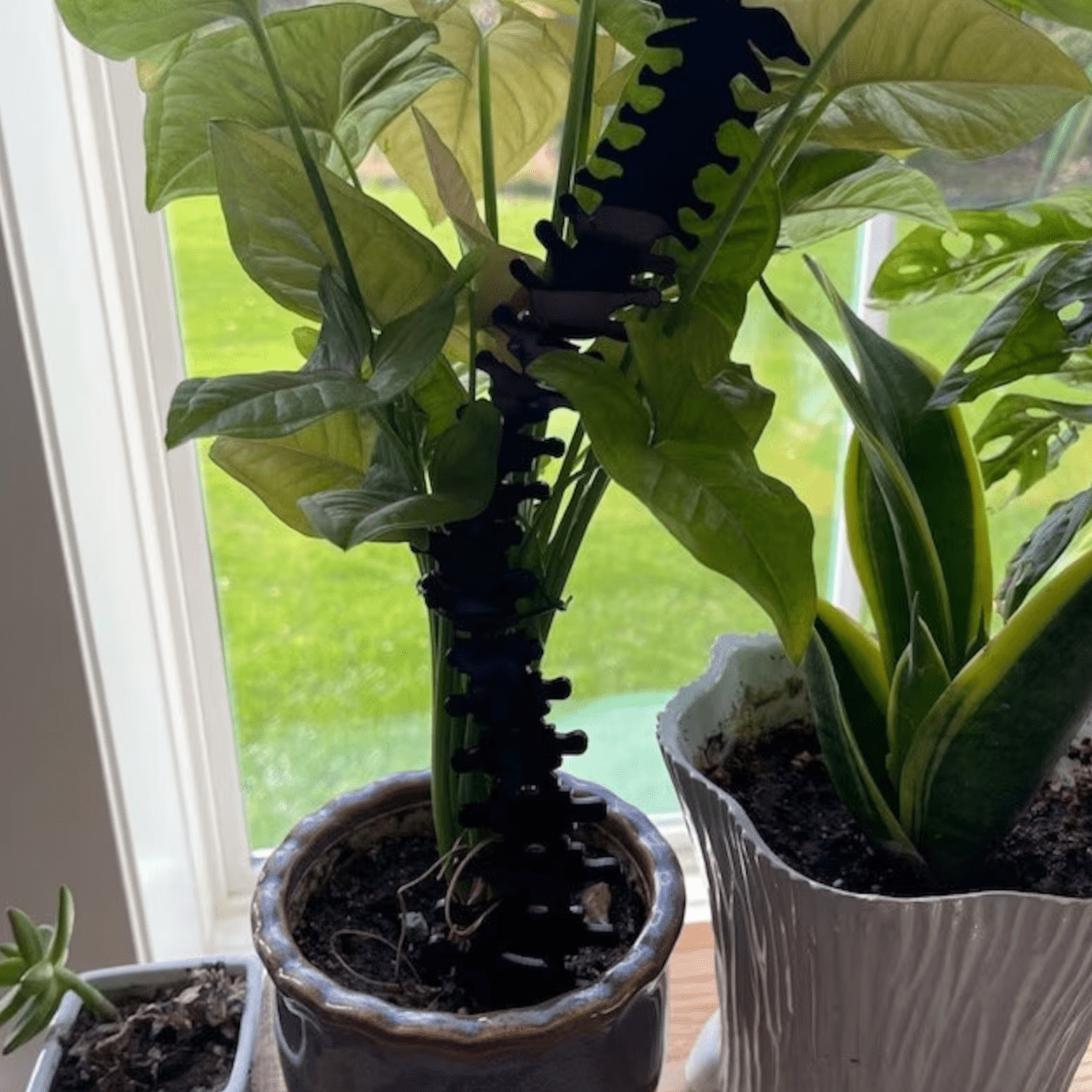 trellis faux plants Spine Plant Trellis: Acrylic Support for Climbing Plants