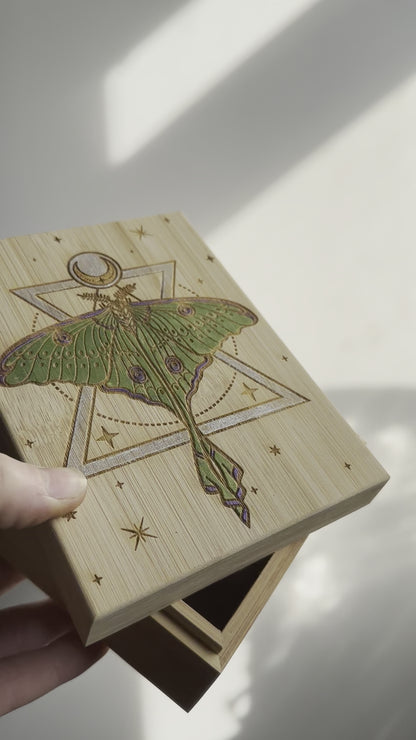 Luna Moth Small Storage Box