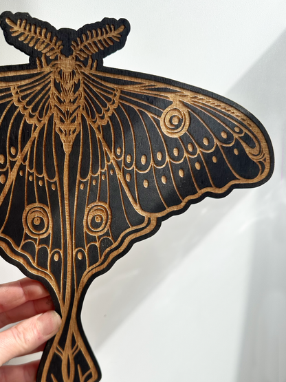 Luna Moth Wall Art