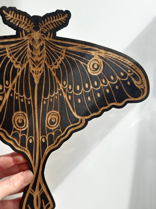 Luna Moth Wall Art