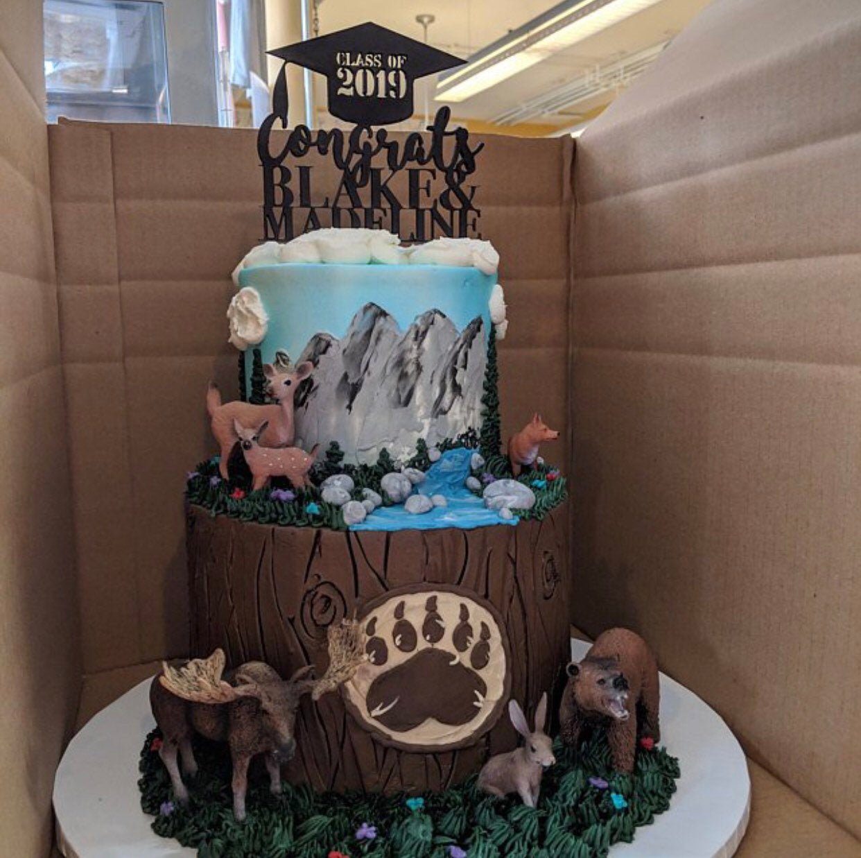 Custom Graduation Cake Topper - Faux Theory Design