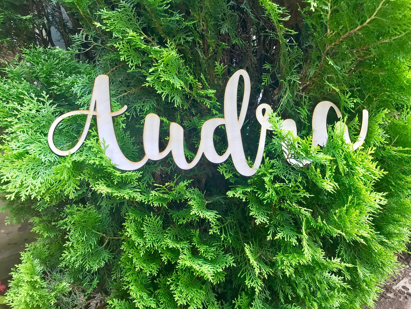 Custom Name/Phrase 20" Wide - Faux Theory Design