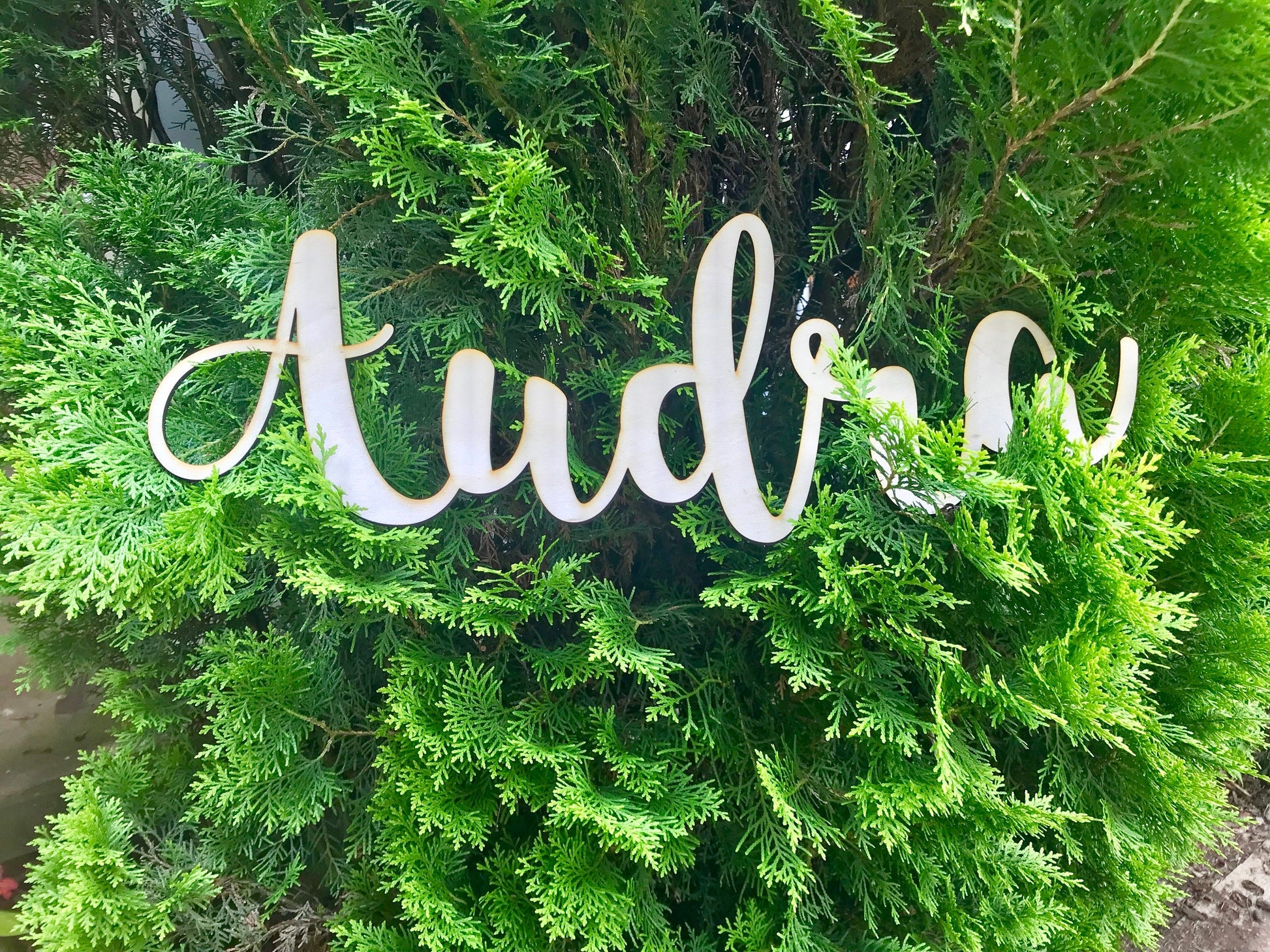 Custom Name/Phrase 20" Wide - Faux Theory Design