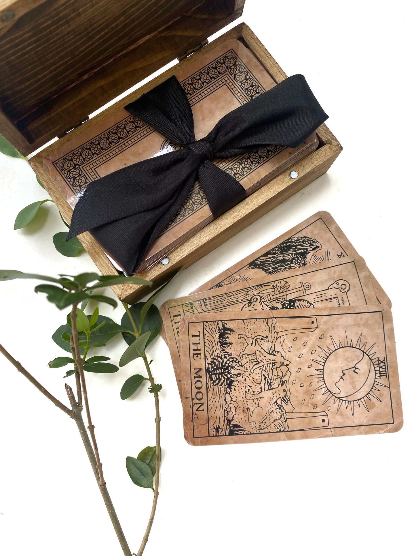 Death Head Hawk Moth Tarot Box - Faux Theory Design