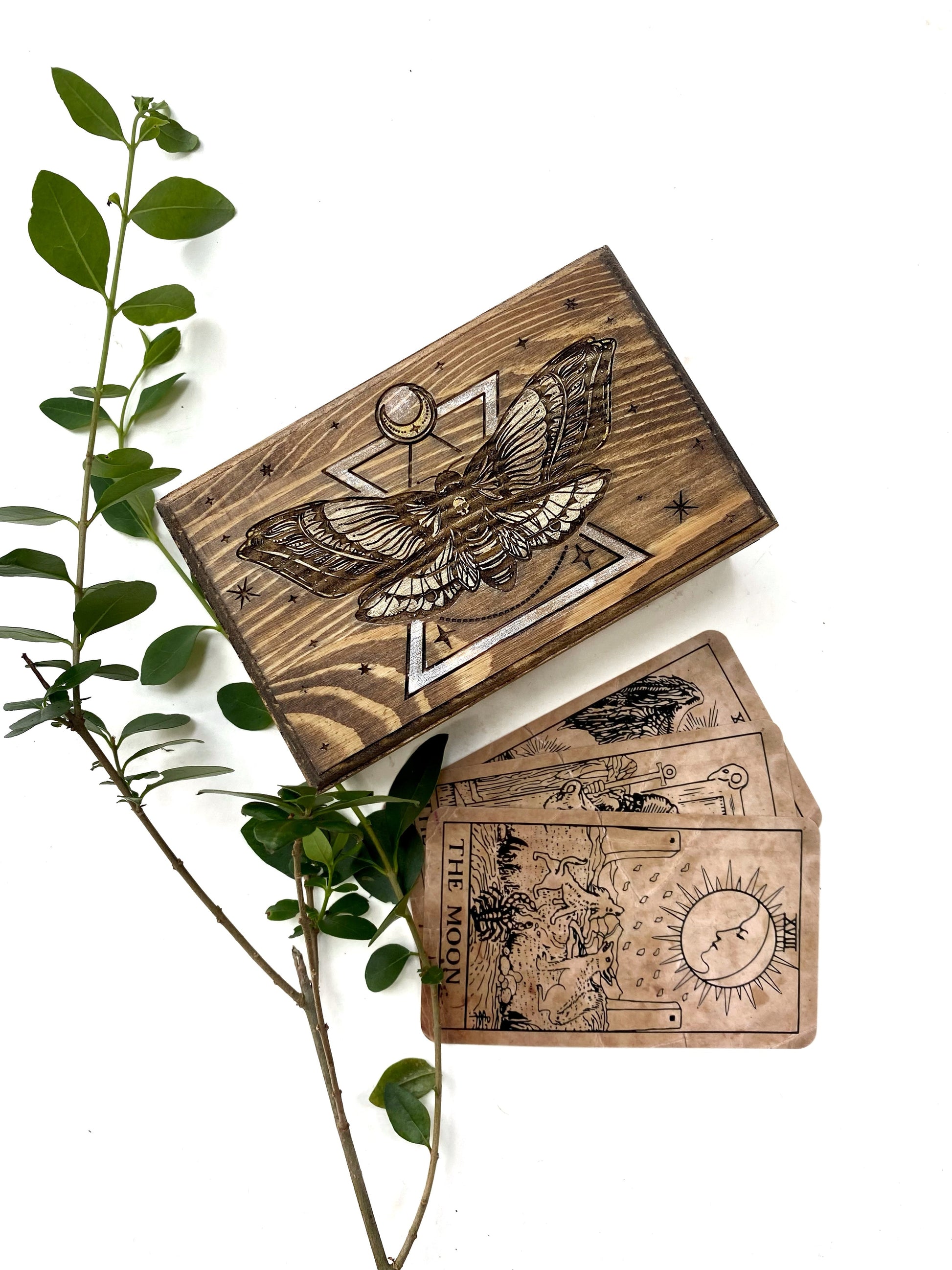 Death Head Hawk Moth Tarot Box - Faux Theory Design