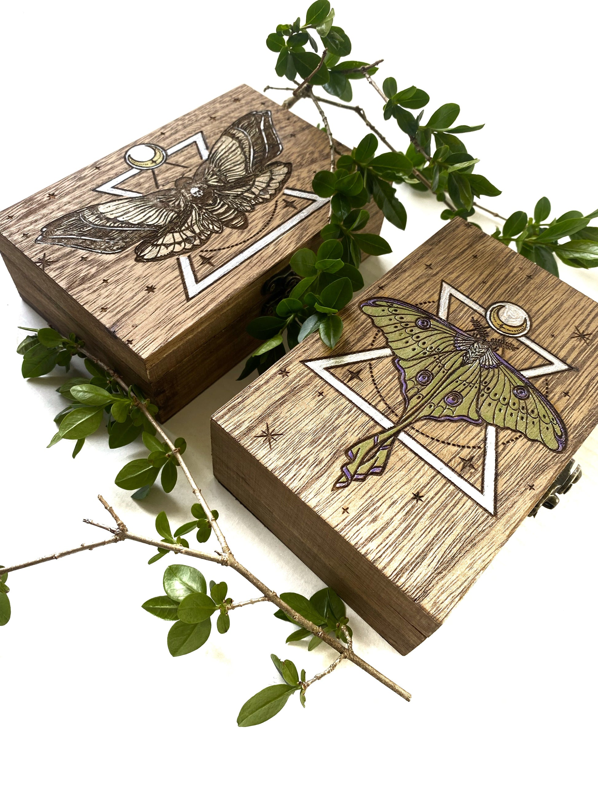 Death Head Hawk Moth Tarot Box - Faux Theory Design